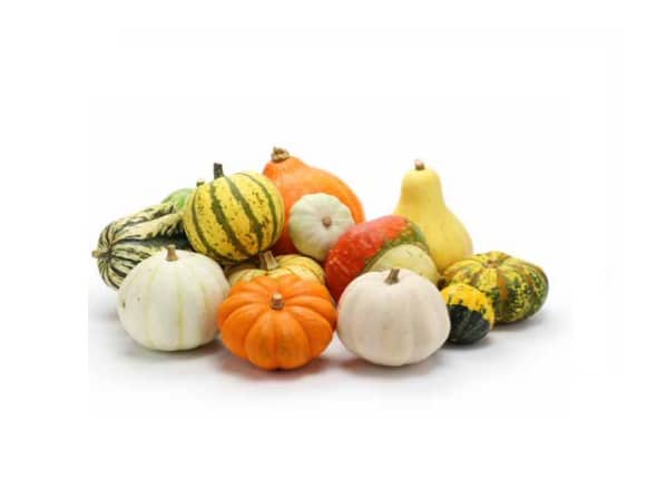 Mixed Gourds 1 Box