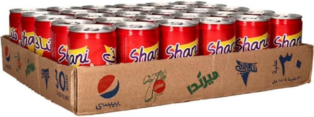 Shani Fruit Drink Can (330ml) Pack of 24 Cans