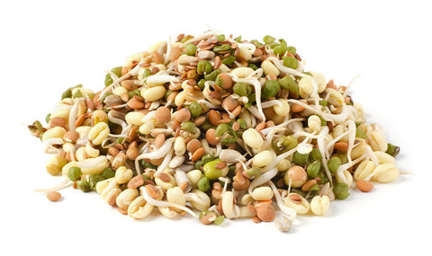 Mixed Sprouting Beans 1 Packet