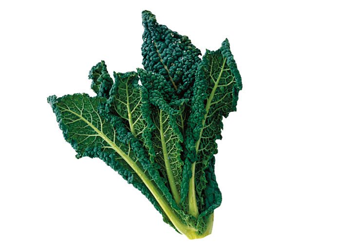 Cabbage Black (Cavolo Nero) 1kg