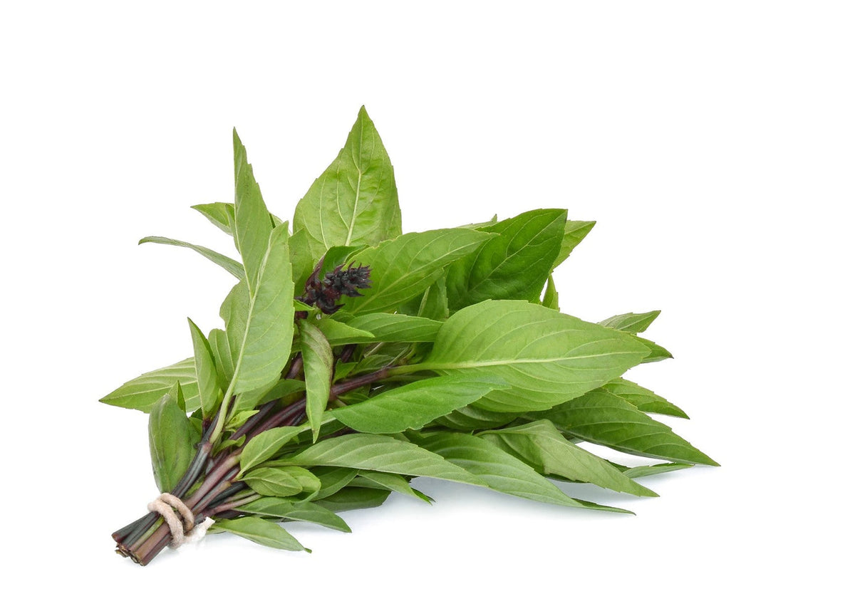 Thai Sweet Basil 1 Bunch