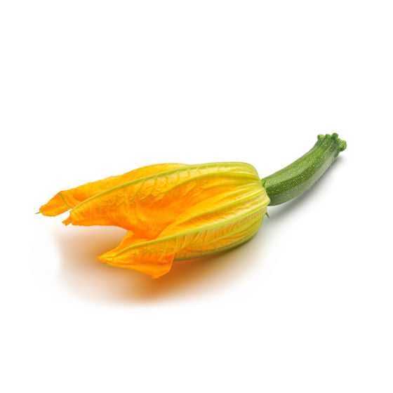 Courgette Flower 1 Each
