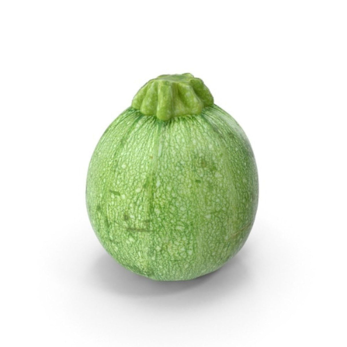 Round Courgette 500g