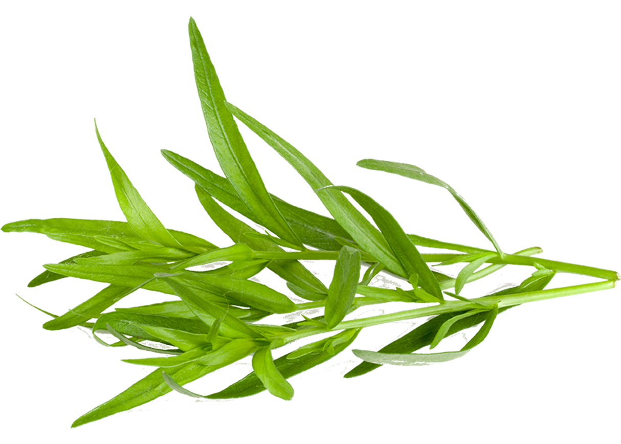 Tarragon 50g