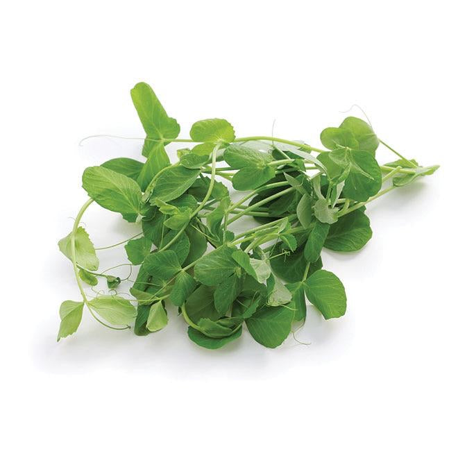 Pea Shoots 100g