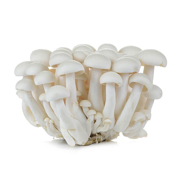 White Shimeji Mushroom 150g