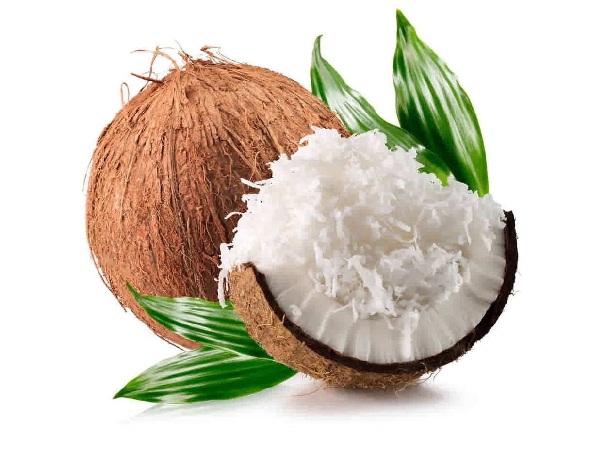 Image of Coconut