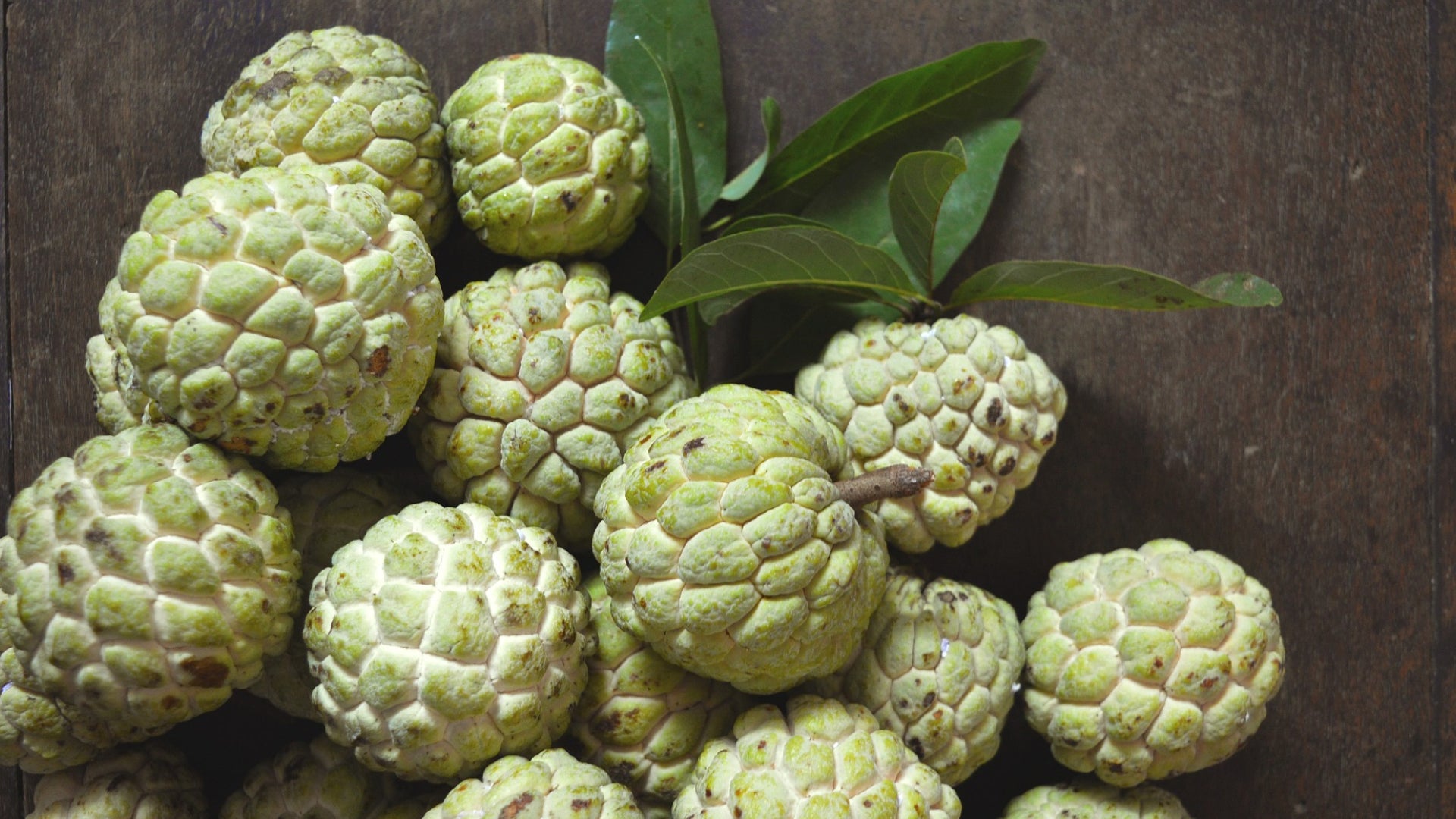 20 benefits of eating custard apples – Bakkali