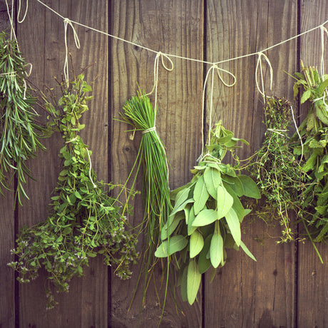 herbs at Bakkali groceries delivery near you