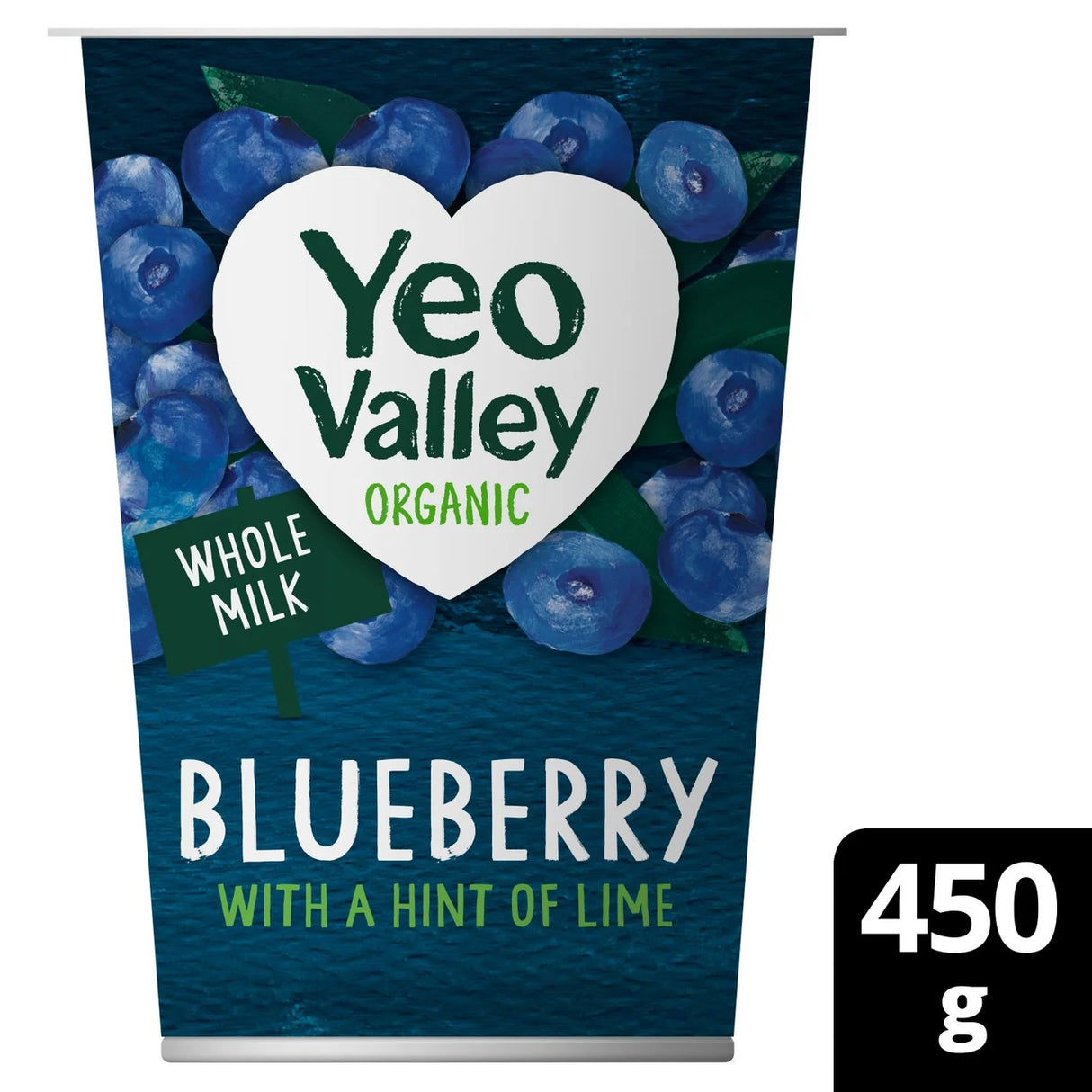 Yeo Valley Organic Blueberry Yoghurt with a Hint of Lime 450g