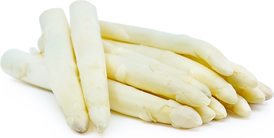 White Asparagus 500g