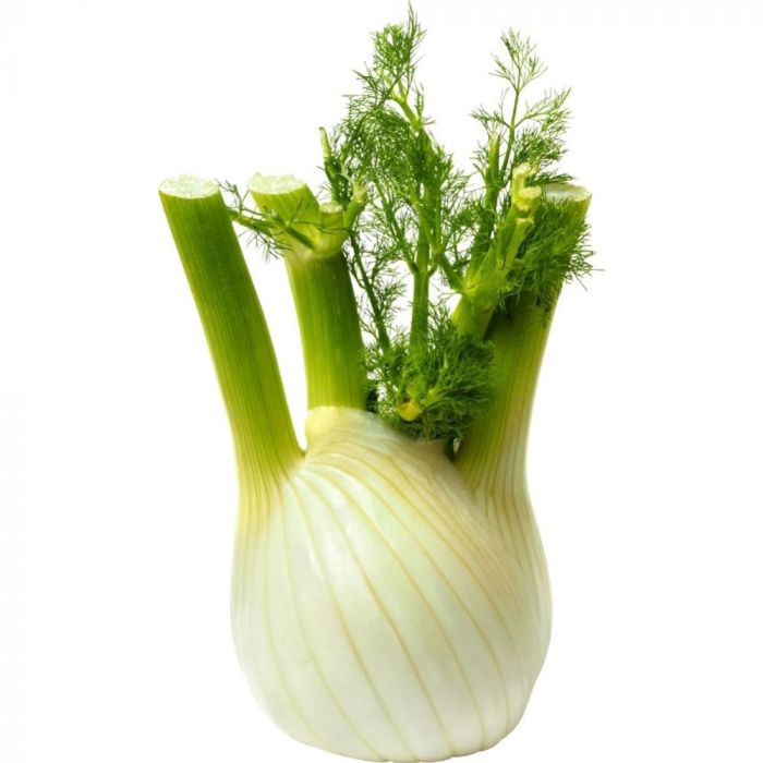 Fennel 500g