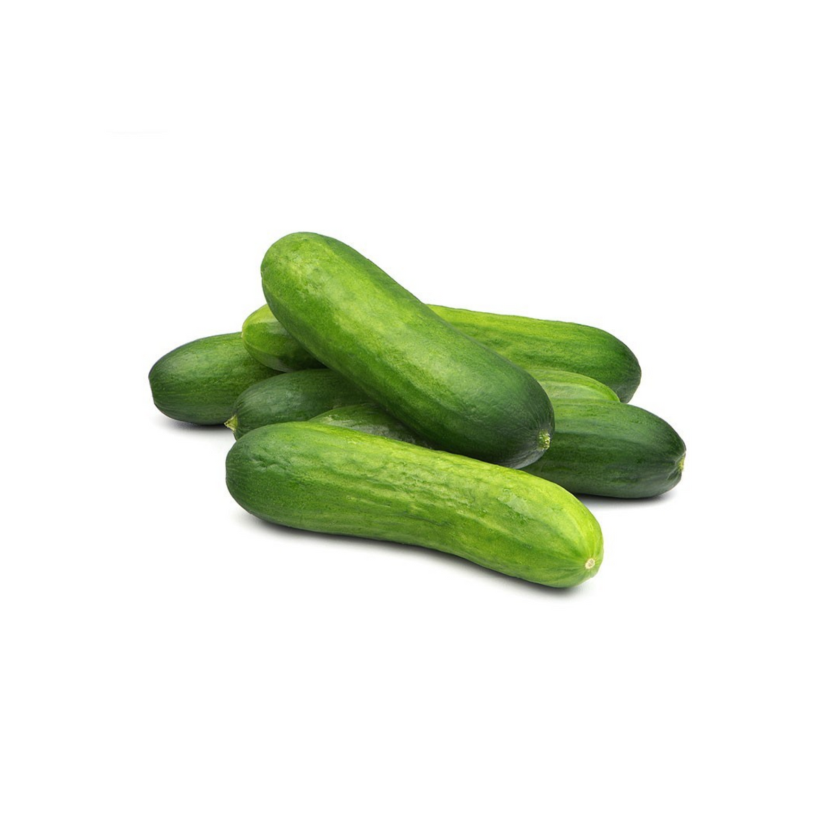 Baby Cucumber 500g