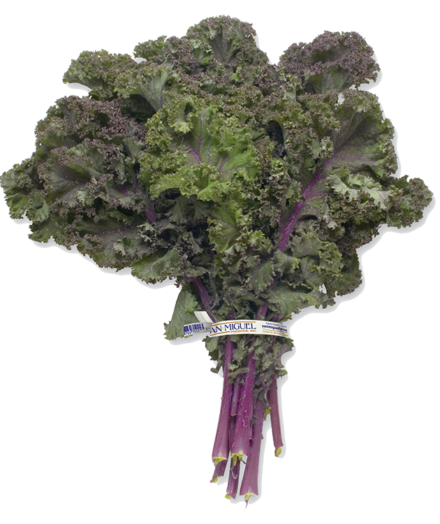 Red Kale 500g