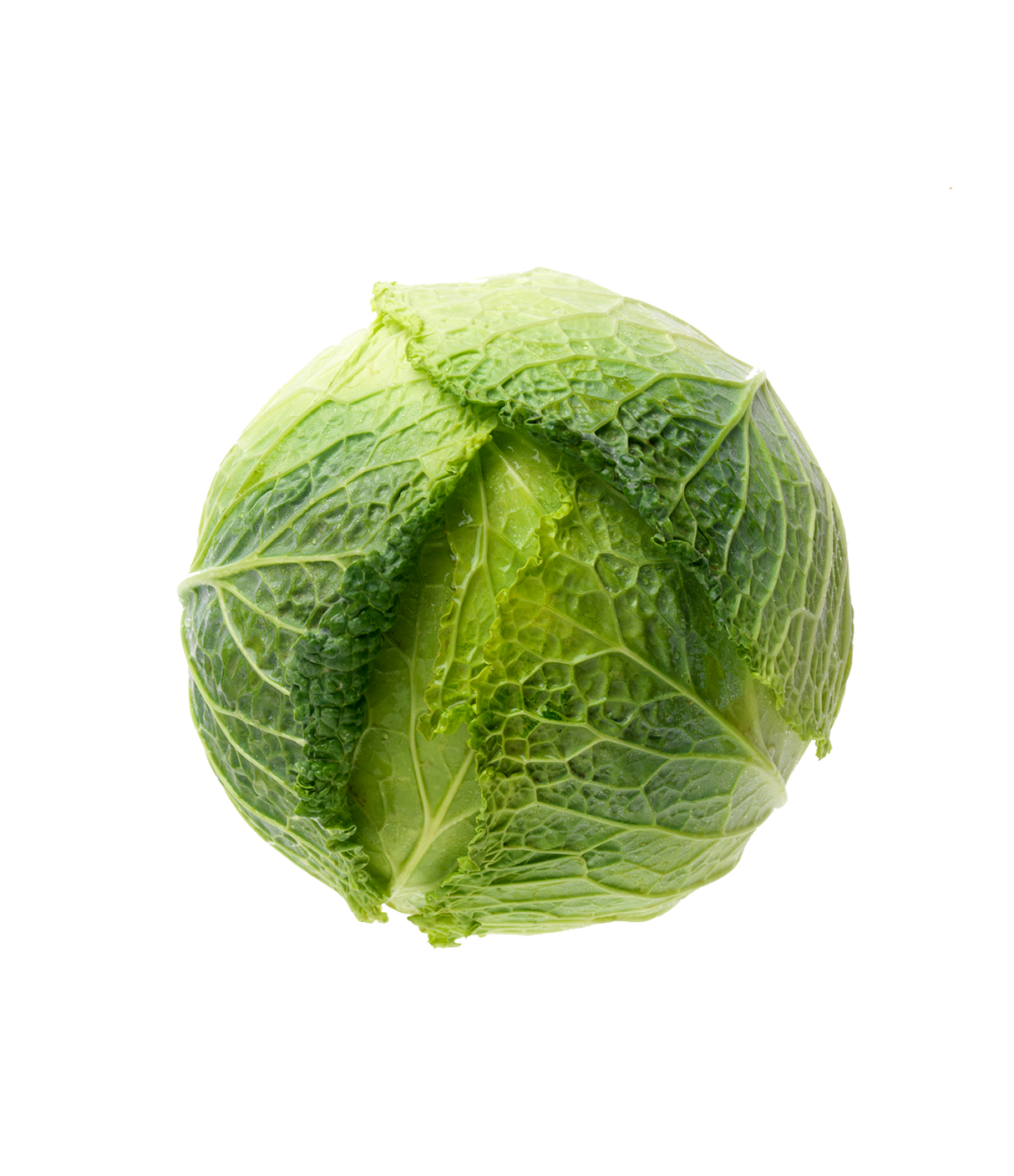 Cabbage Savoy 1 Each