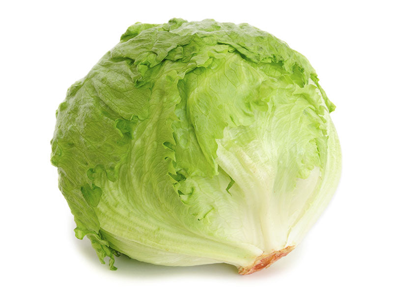 Iceberg Lettuce Each