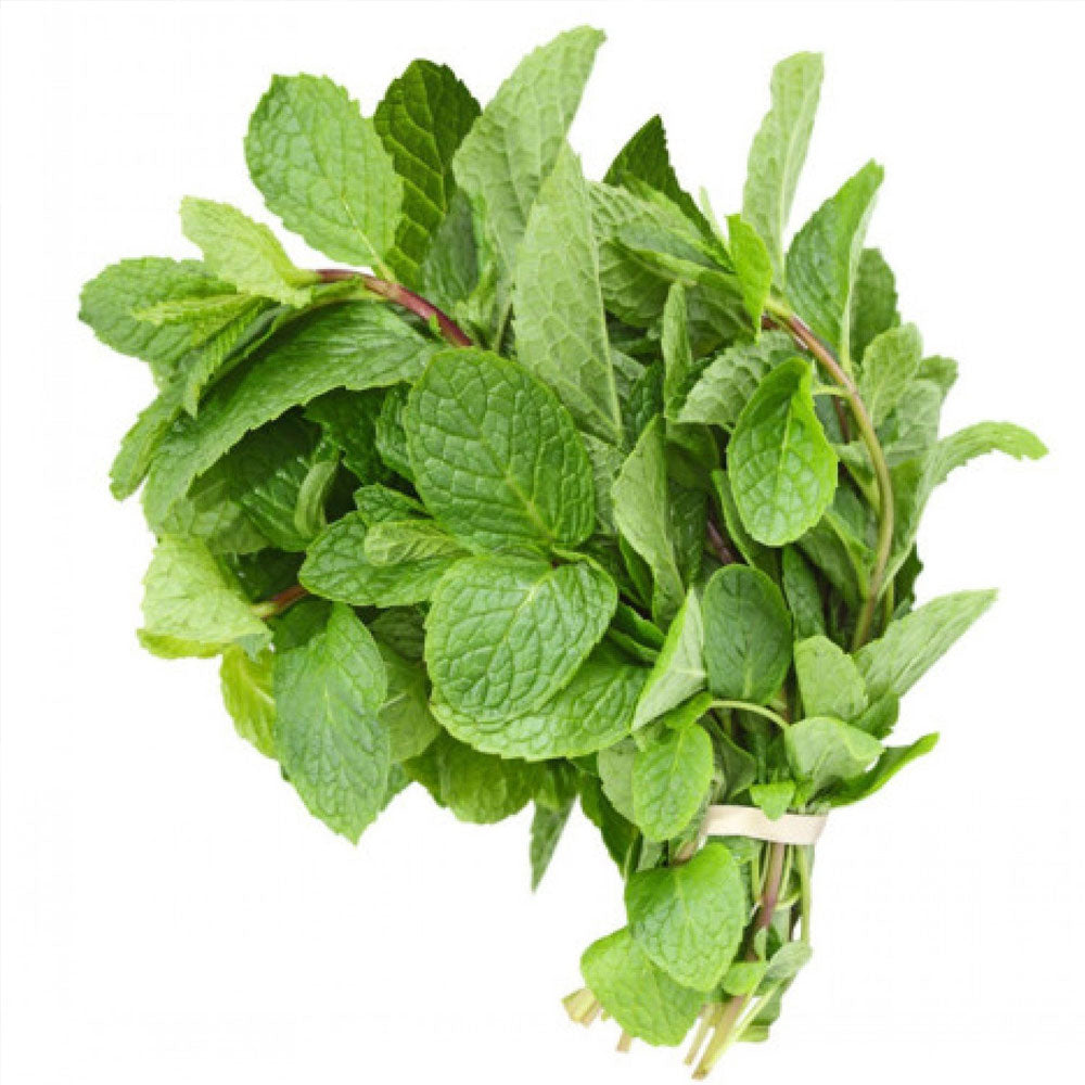 Image of Mint Bunch