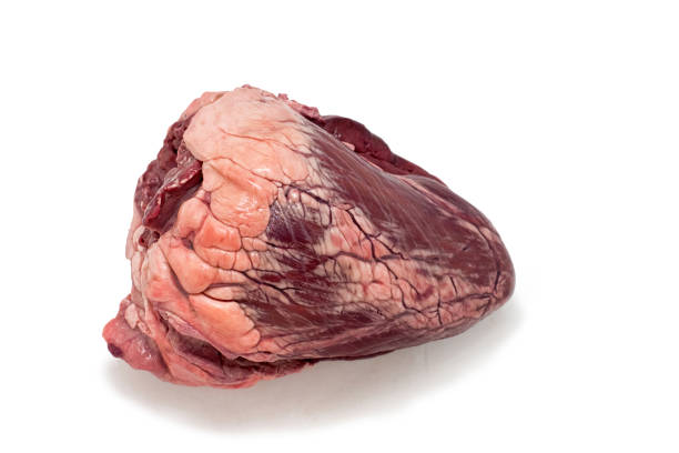 Lamb Heart Halal - 500g