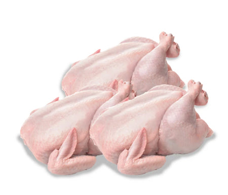 Image of Baby Chicken Halal - 3 Pack
