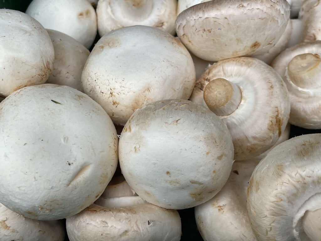 Image of Mushroom 500g