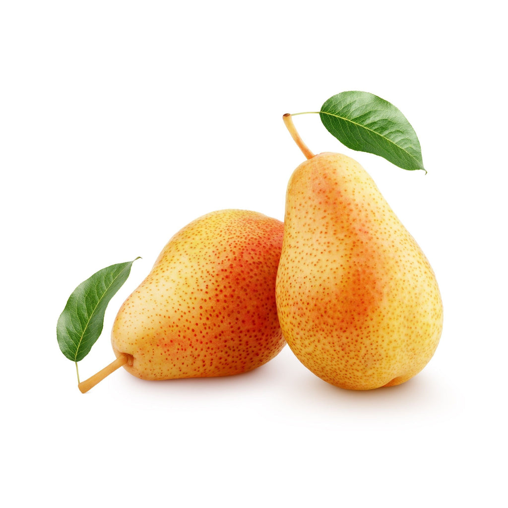 Image of Rosemary Pears  - Pack of 4