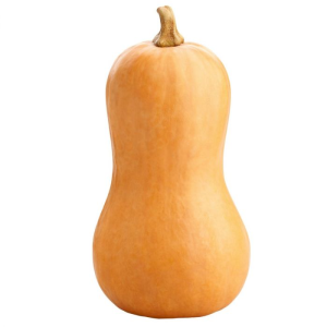 Image of Butternut