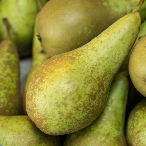 Image of Conference Pears - 500g