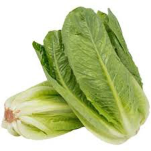 Image of Cos Lettuce - Each