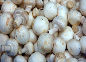 Image of Fresh Mushroom - Per 500g