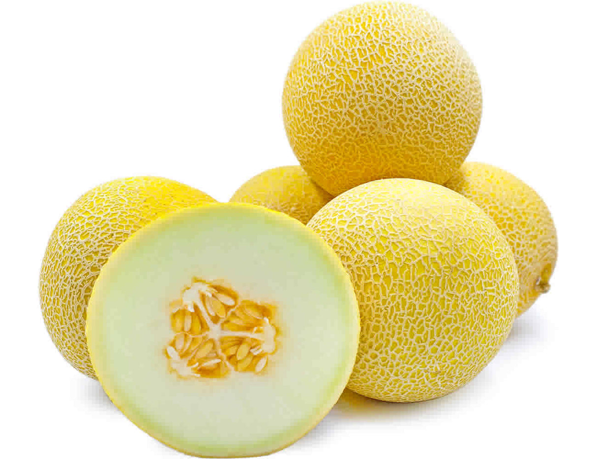 Image of Galia Melon Each