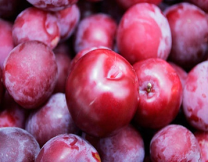 Image of Red Plum - 500g
