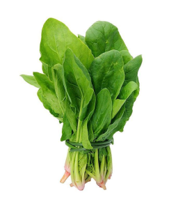Image of Spinach Leaves - A bunch