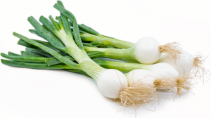 Image of Spring Onion